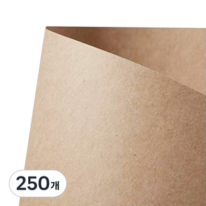 원진 소포지 크라프트지 100g, 250개