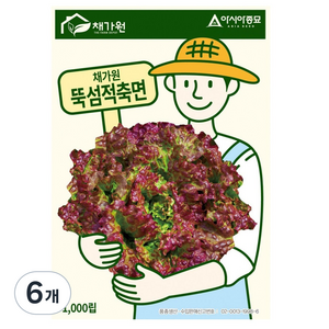 아시아종묘 상추 뚝섬적축면 씨앗 1000립, 6개