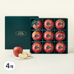 프리미엄 사과 9입 선물세트, 3kg, 4개