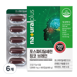 내츄럴플러스 포스파티딜세린 징코 브레인, 60정, 6개