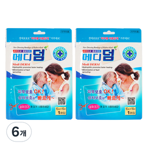 메디덤 메디코리아 밴드, 6개