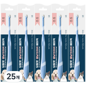 딩동펫 반려동물 댕냥 칫솔 브러쉬 베이직, 25개