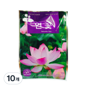 프레시가든 연꽃 씨앗, 10개