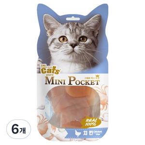 더캣츠 고양이 그대로미니포켓 육포 간식, 치킨, 48g, 6개
