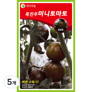 다농 흑진주미니토마토씨앗, 5개, 50입