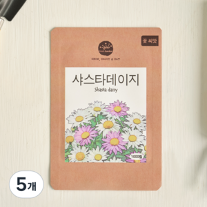 프레시가든 꽃씨앗 샤스타데이지, 5개
