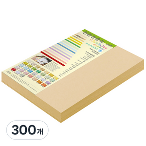 종이문화 두꺼운양면 카드지 레인보우카드 No.03 베이지 A4, 300개