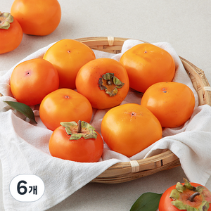 한들 청도반시 10~12입, 6개, 1.4kg