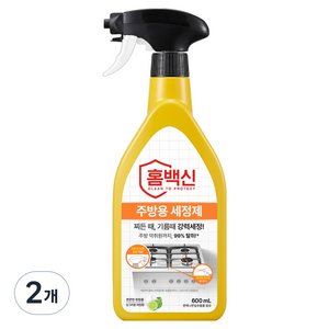 홈백신 주방용 세정제, 2개, 600ml