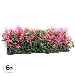 랑후 인조잔디 장식 A81151, 6개