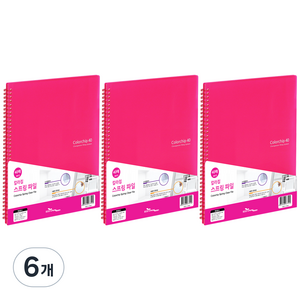 에코청운 칼라칩 스프링화일 40매 A4, 분홍, 6개