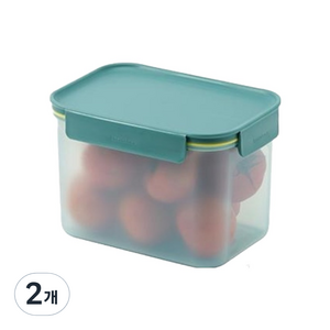 락앤락 프레쉬 프로텍트 밀폐용기 그린, 2개, 2L