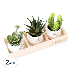 행복한마을 조화 미니 선인장 화분세트, 혼합 색상, 2세트