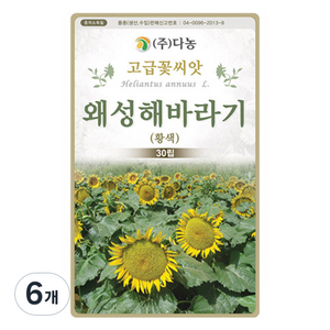 다농 왜성해바라기 씨앗 황색 30p, 6개