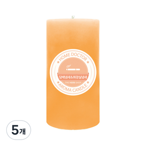 더허브샵 홈닥터 아로마 캔들, 담배냄새&화장실냄새, 570g, 5개