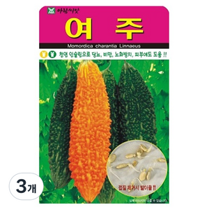 아람종묘 여주 씨앗 10p, 3개