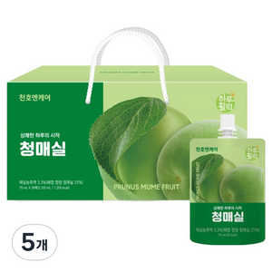 하루활력 청매실 30p, 2.1L, 5개