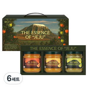 담터 제주 액상차 3종 선물세트, 6세트, 한라봉청 300g + 하귤청 300g + 청귤청 300g
