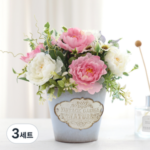 행복한마을 에이프릴화분, 혼합색상, 3세트