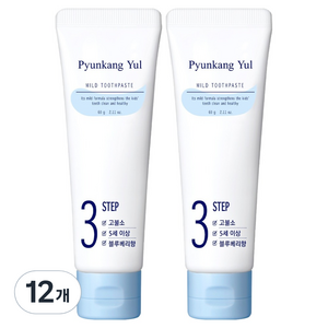 편강율 어린이 치약 블루베리향, 60g, 12개