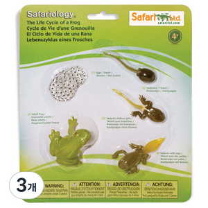 사파리엘티디 피규어 269129 개구리성장과정 Life Cycle of a Frog, 3개