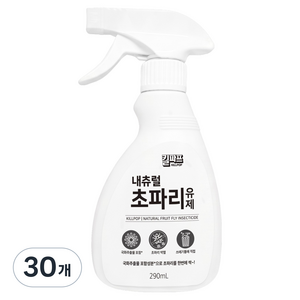 킬파프 국화추출물 내츄럴 초파리유제 분무형, 30개, 290ml