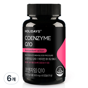 홀리데이즈 코엔자임 Q10 30g, 60정, 6개