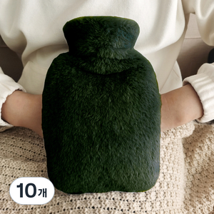 푸트로랩 따뜻한 커버 pvc 보온 물주머니 그린 1000ml, 10개