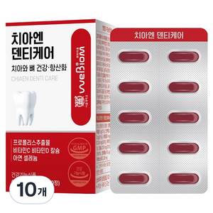 서울대위바이옴 치아엔 덴티케어 치아와 뼈 건강 항산화, 10개, 60정
