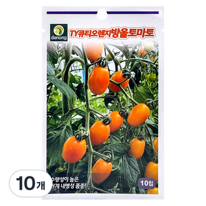 다농 TY 큐티 오렌지 방울토마토 씨앗 10p, 10개