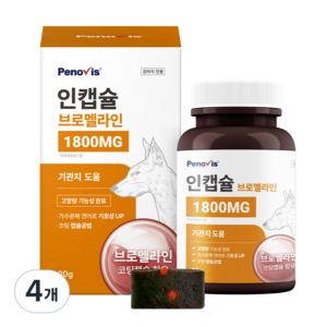페노비스 강아지 인캡슐 브로멜라인 영양제, 90g, 호흡기/기관지, 4개