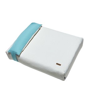 바비숑 강아지 케어 꿀잠 토퍼 + 베개 세트 대형견용, 아이보리(토퍼), 민트(베개), 1개