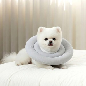 레토 반려동물 방수 초경량 넥카라, 그레이, 1개