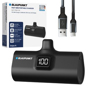 블라우풍트 LED 도킹형 고속충전 보조배터리 5000mAh, BLACK, BLP-PB615K