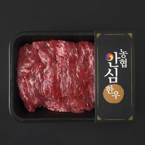 농협안심한우 한우 양지 덩어리 1등급 수육 국거리 장조림용 (냉장), 600g, 1개