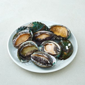 어부심 국내산 활전복 특대 (냉장), 1개, 1kg 내외(9~10미)