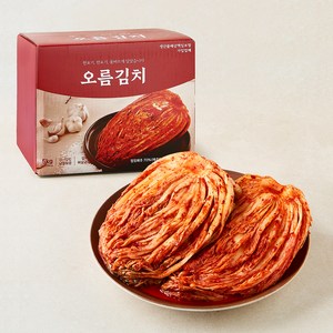오름김치 포기김치, 5kg, 1개