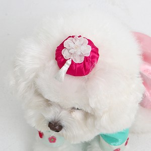 이츠독 반려동물 만두 배씨댕기 고무줄, 진분홍, 1개