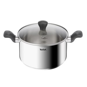 테팔 인덕션 스테인레스 스틸 이지쿡 양수냄비, 24cm, 무광그레이, 1개