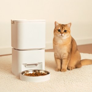 디클펫 반려동물 자동급식기 CT-330, 화이트, 1.59kg, 1개