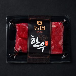 농협 한우 양지 절단 1등급 국거리용 (냉장), 300g, 1개