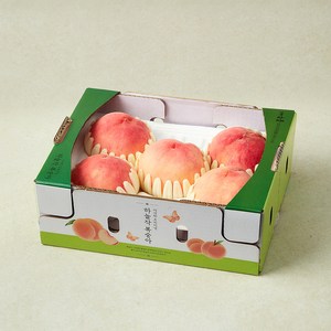 하늘작 충주 당도선별 아삭복숭아 5~8입, 1개, 1.8kg 골드박스 특가