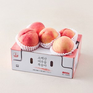 GAP 인증 소백산 여우숲 못난이 아삭한 복숭아 4~7입, 1개, 1.8kg