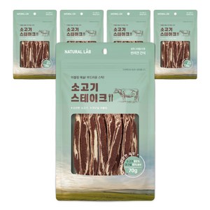 네츄럴랩 강아지 건강한 육포, 소고기, 70g, 5개