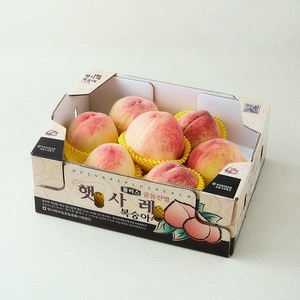 햇사레 GAP 인증 당도선별 부드러운 백도복숭아 5~8입, 1개, 1.8kg 골드박스 특가