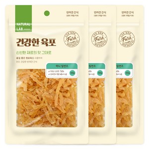 네츄럴랩 건강한 육포 강아지 간식, 칠면조, 100g, 3개