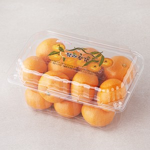 탐라황감 당도선별 10brix 감귤, 800g(로열과), 1개 골드박스 특가