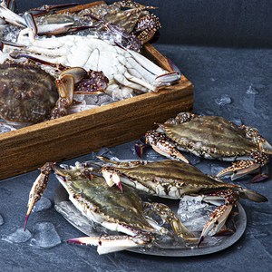 피시원 신진도 산지직송 가을 자망 햇꽃게, 3kg(9~12미), 1개