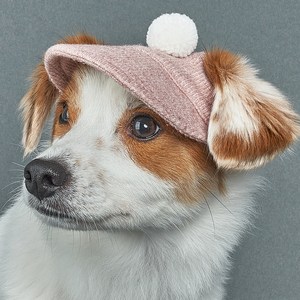 도그아이 강아지 고양이 폼폼이 니트 모자, 핑크, 1개