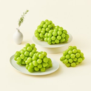 중화농협 고당도 샤인머스켓, 4kg, 1개
